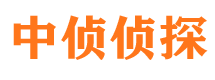 巨野婚外情调查取证